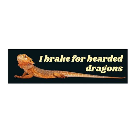 bearded dragon sticker|bearded dragon bumper sticker.